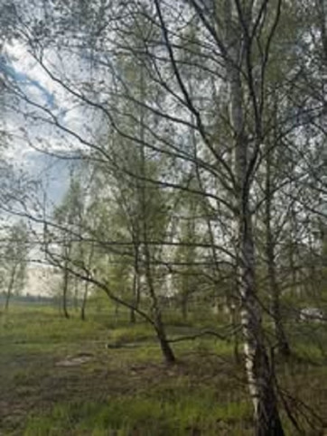 Działka Sprzedaż Miłoszyce 3