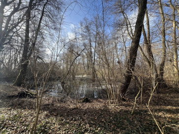 Obiekt Sprzedaż Skórzyno