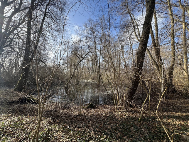 Obiekt Sprzedaż Skórzyno 8