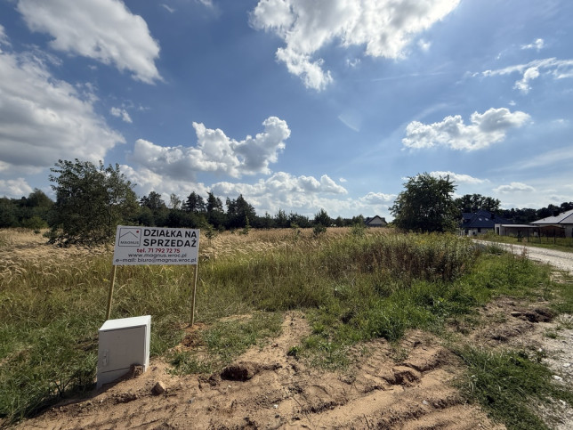 Działka Sprzedaż Ostrowina 2