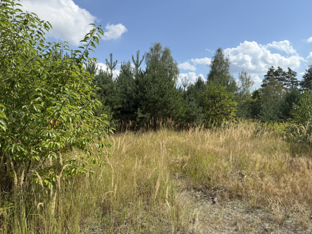 Działka Sprzedaż Ostrowina 2