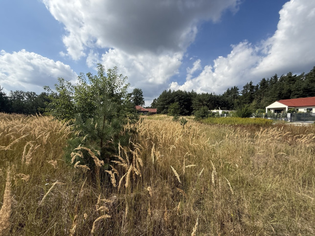 Działka Sprzedaż Ostrowina 7