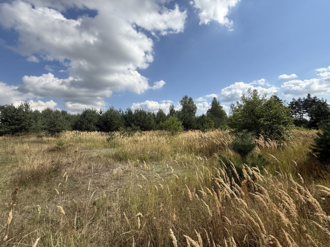Działka Sprzedaż Ostrowina 8
