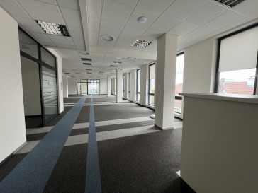 Lokal Wynajem Wrocław